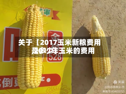 关于【2017玉米新粮费用,2017年玉米的费用是多少】-第2张图片