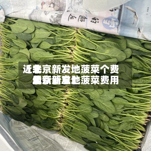 近来【北京新发地菠菜个费用北京新发地菠菜费用最新消息】