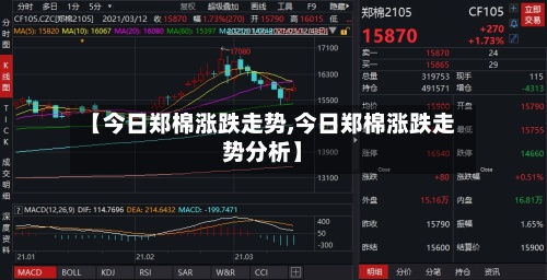 【今日郑棉涨跌走势,今日郑棉涨跌走势分析】-第2张图片
