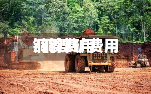 铜镍费用
/铜镍矿费用
-第2张图片