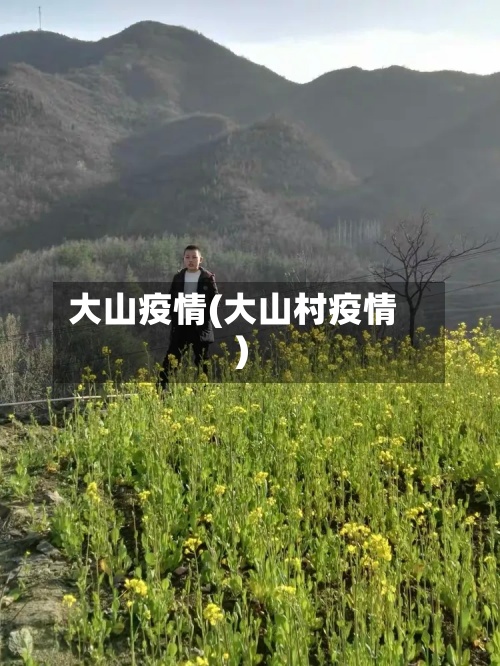 大山疫情(大山村疫情)