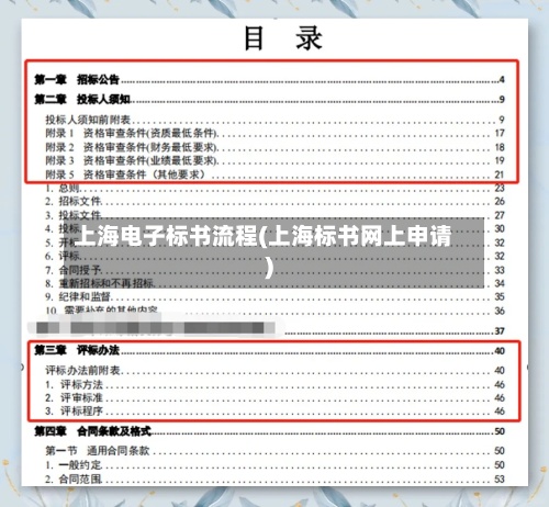 上海电子标书流程(上海标书网上申请)