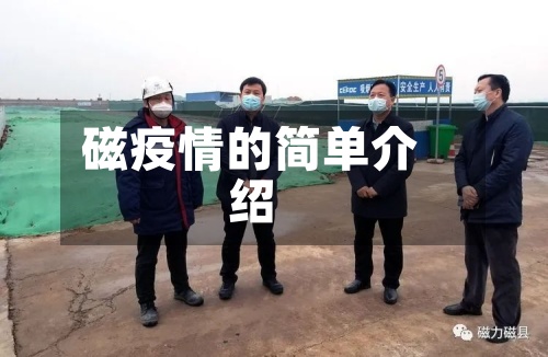 磁疫情的简单介绍
