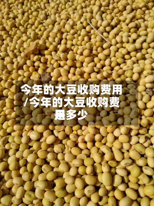 今年的大豆收购费用/今年的大豆收购费用是多少