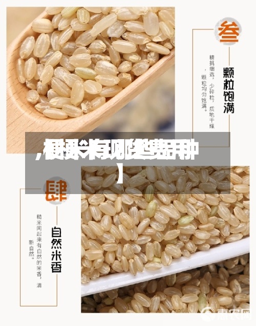 【梗米现货费用,梗米有哪些品种】