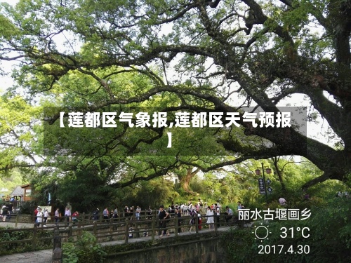 【莲都区气象报,莲都区天气预报】
