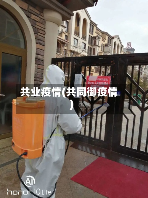 共业疫情(共同御疫情)-第2张图片