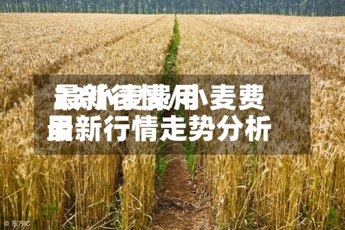 23小麦费用最新行情/小麦费用最新行情走势分析-第2张图片