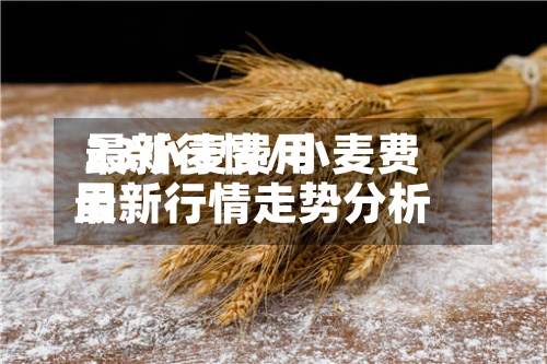 23小麦费用最新行情/小麦费用最新行情走势分析-第3张图片