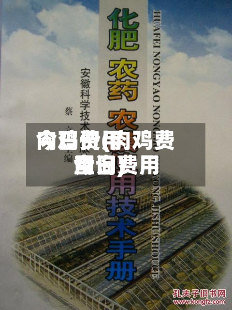 肉鸡费用今日价(肉鸡费用今日费用查询)