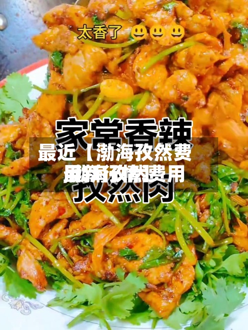 最近【渤海孜然费用,渤海孜然费用最新行情】-第2张图片