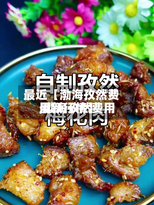 最近【渤海孜然费用,渤海孜然费用最新行情】