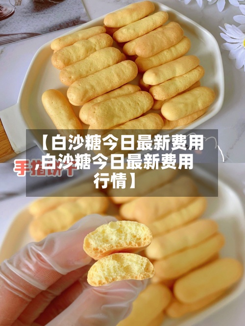 【白沙糖今日最新费用,白沙糖今日最新费用行情】