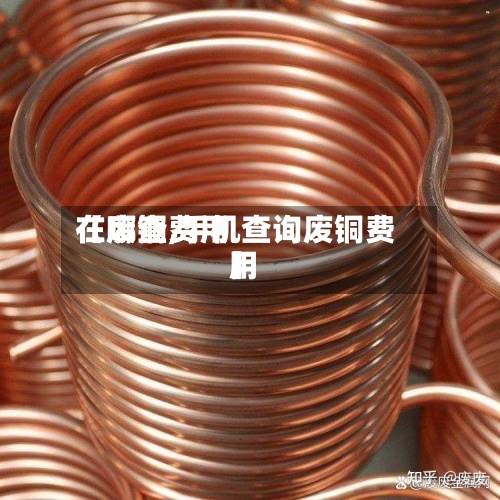 【废铜费用
在哪查,手机查询废铜费用
】-第2张图片