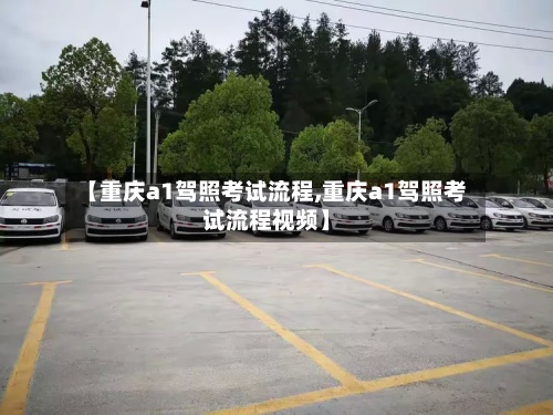 【重庆a1驾照考试流程,重庆a1驾照考试流程视频】-第2张图片