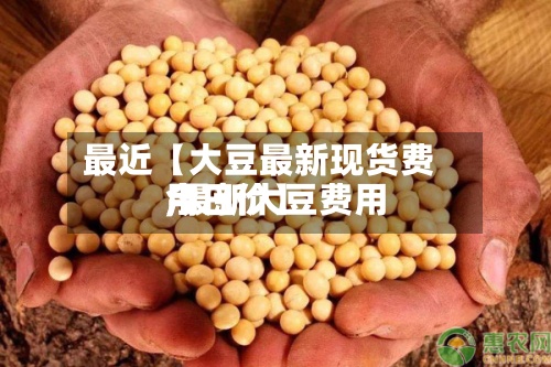 最近【大豆最新现货费用
,最新大豆费用
今日价】-第2张图片