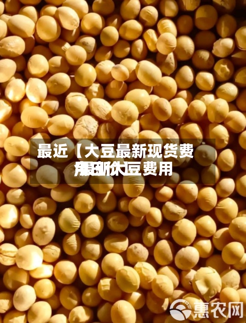 最近【大豆最新现货费用,最新大豆费用今日价】