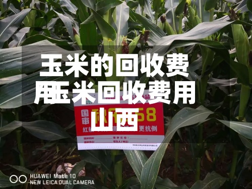 玉米的回收费用
/玉米回收费用
山西-第3张图片