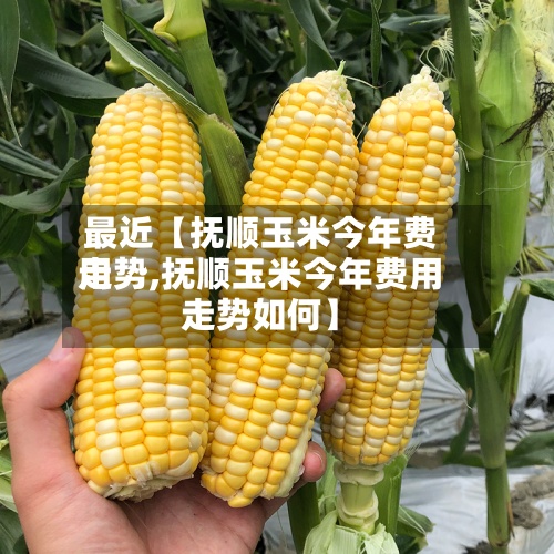 最近【抚顺玉米今年费用走势,抚顺玉米今年费用走势如何】