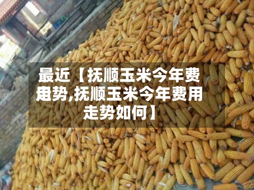 最近【抚顺玉米今年费用走势,抚顺玉米今年费用走势如何】-第2张图片