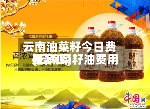 云南油菜籽今日费用(云南菜籽油费用是多少)