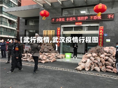 【武行疫情,武汉疫情行程图】-第3张图片