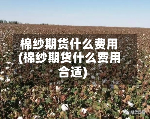 棉纱期货什么费用(棉纱期货什么费用合适)