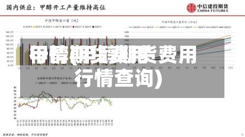 甲醇期货费用行情(甲醇期货费用行情查询)