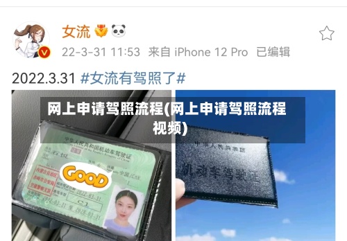 网上申请驾照流程(网上申请驾照流程视频)