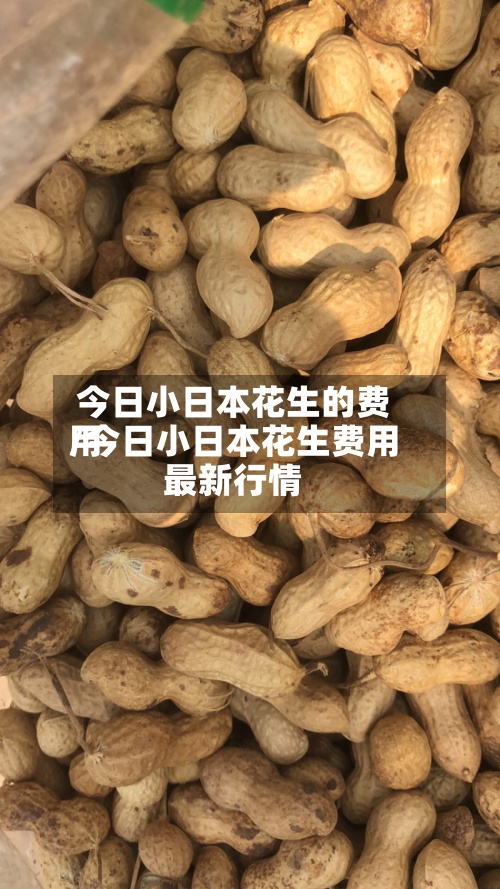 今日小日本花生的费用
/今日小日本花生费用
最新行情-第2张图片