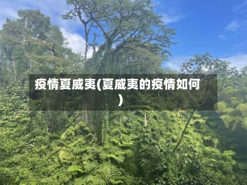 疫情夏威夷(夏威夷的疫情如何)-第3张图片