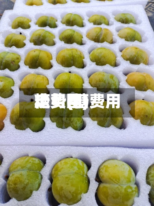 糖费用走势(糖费用走势图)