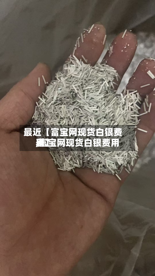 最近【富宝网现货白银费用,富宝网现货白银费用表】