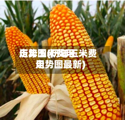 历年玉米费用走势图(历年玉米费用走势图最新)