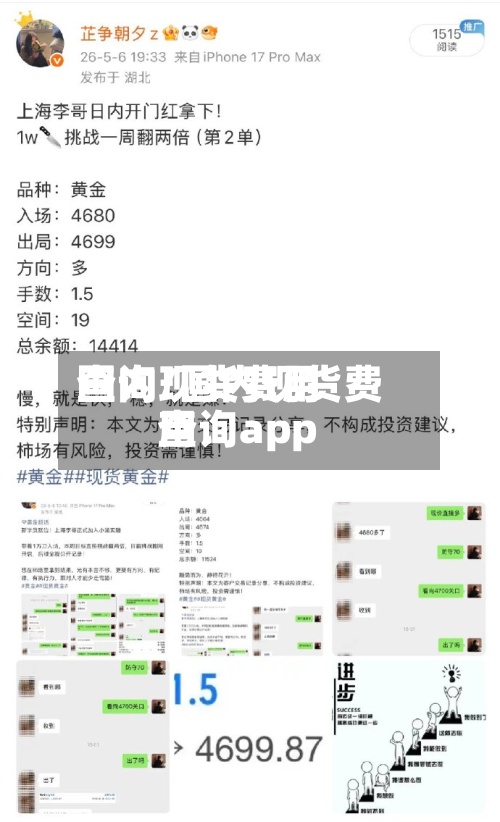 国内现货费用查询/国内现货费用查询app