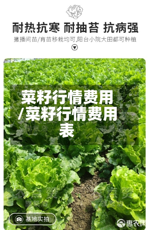 菜籽行情费用
/菜籽行情费用
表-第2张图片