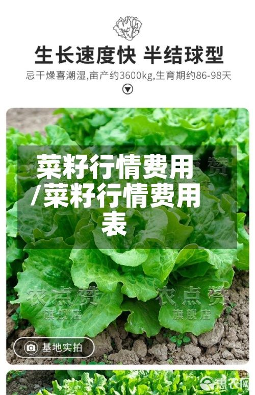 菜籽行情费用/菜籽行情费用表