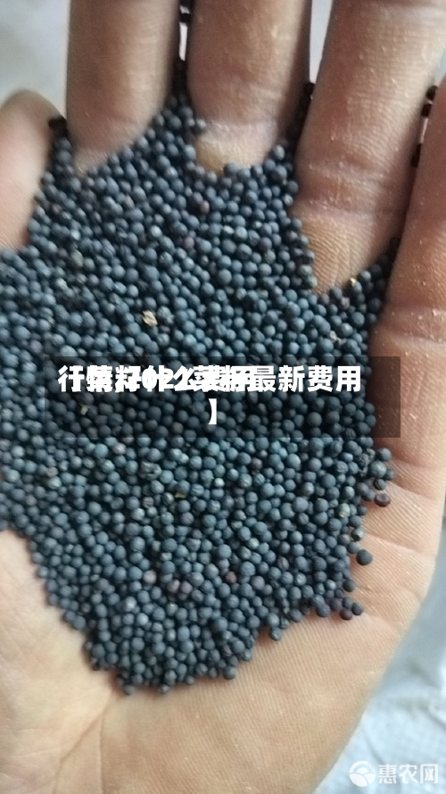 【菜籽什么费用行情,2021菜籽最新费用】