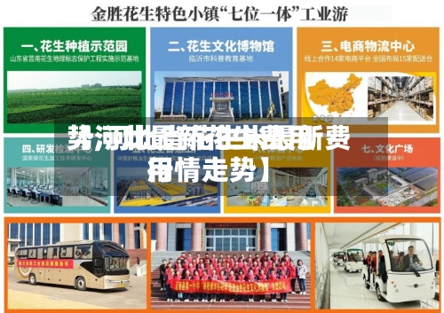 【河北最新花生费用势,河北省花生米最新费用行情走势】