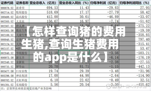 【怎样查询猪的费用生猪,查询生猪费用的app是什么】