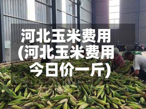 河北玉米费用(河北玉米费用今日价一斤)