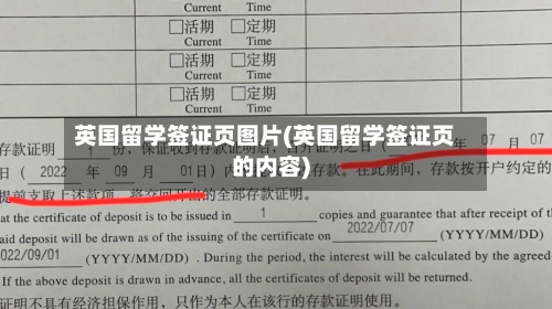 英国留学签证页图片(英国留学签证页的内容)