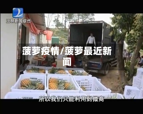 菠萝疫情/菠萝最近新闻