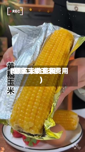 2级玉米的费用(国家二级玉米费用)