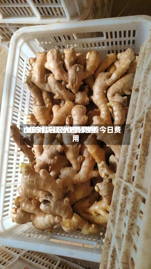 山东潍坊昌邑生姜费用
/山东昌邑宏大市场生姜今日费用
-第3张图片