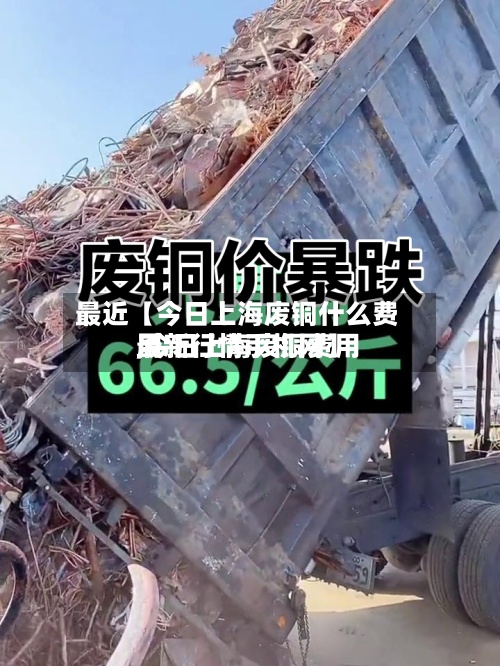 最近【今日上海废铜什么费用
,今日上海废铜费用
最新行情手机网】-第3张图片