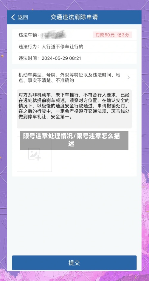 限号违章处理情况/限号违章怎么描述-第2张图片