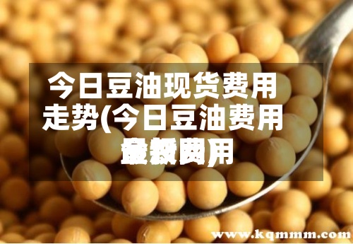 今日豆油现货费用走势(今日豆油费用最新费用金投网)