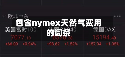 包含nymex天然气费用的词条