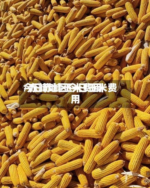 今日赤峰玉米费用/赤峰地区今日玉米费用